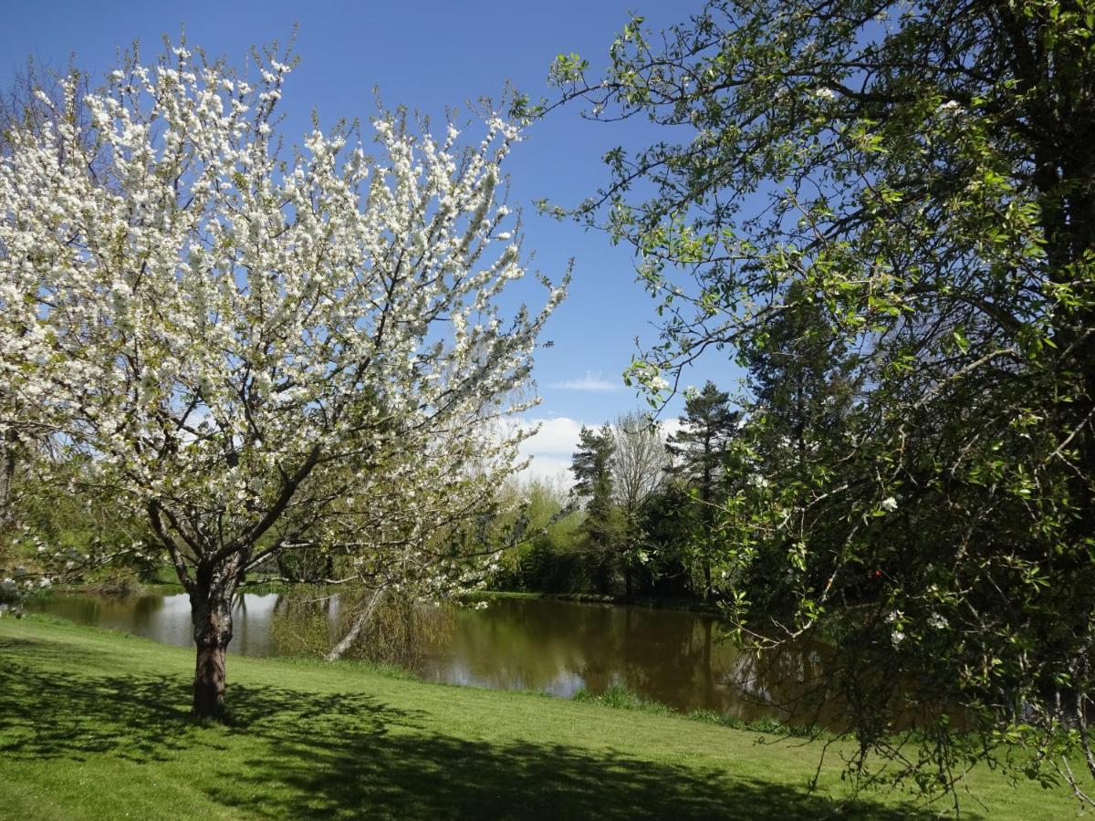 Maison De Campagne En Limousin Dury  エクステリア 写真